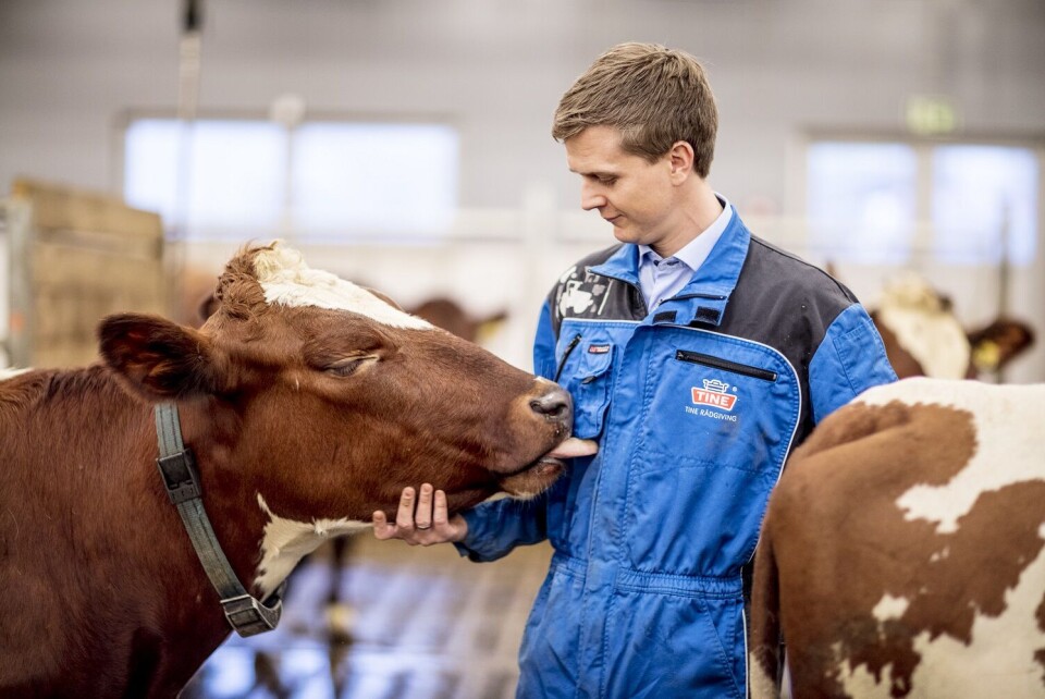 TINE er Norges mest bærekraftige bedrift