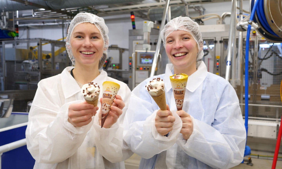 Årets nyheter fra Diplom-Is