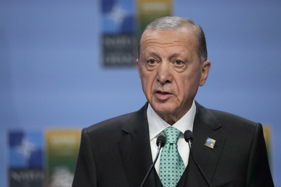 Tyrkias president Recep Tayyip Erdogan vil forsøke å gjenopplive kornavtalen med Russland. Foto: AP, NTB