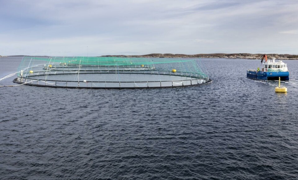 Salmar tjente nesten 1,9 milliarder kroner i første kvartal. Foto: Gorm Kallestad, NTB